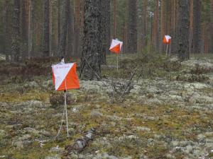 Tarkkuussuunnistusrasteja Jämin kankaalla.