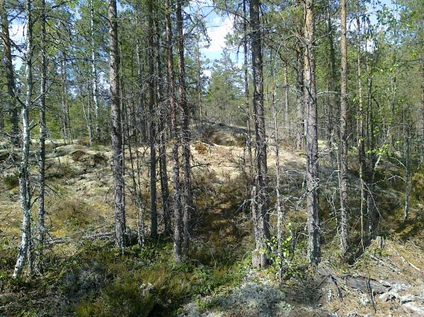 toukokuinen maisema Ruokoskelta